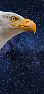 Bald eagle head against a starry night sky background.