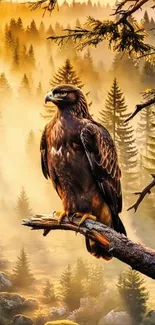 Majestic eagle perched in a sunset forest scene, radiating nature's beauty.