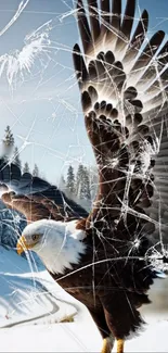 Eagle soaring over snowy landscape with cracked glass effect.