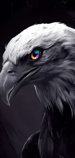 Monochrome eagle with colorful eye mobile wallpaper.