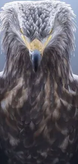 Close-up of a majestic eagle on mobile wallpaper.