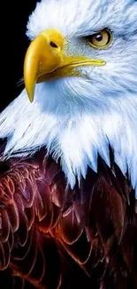 Majestic bald eagle with colorful feathers on a black background.