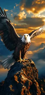 Majestic eagle perched on a rocky mountain peak against a vibrant sky.