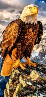 Bald eagle on rocky mountain peak with snowy background.