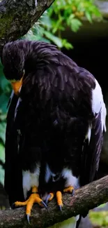 Majestic eagle perched on a tree branch with vibrant nature backdrop.