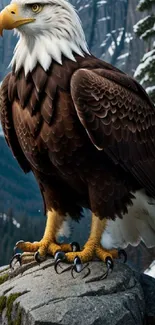 Majestic bald eagle perched on a rock in a mountainous landscape.