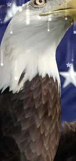 Majestic eagle with stars on a deep blue background.