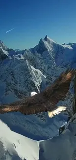 Eagle soaring above snow-covered mountains under a deep blue sky.