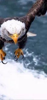 Eagle soaring over turbulent ocean waves