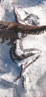 Eagle soaring over snow-covered mountains in stunning detail.