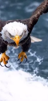 Eagle soaring over the ocean waves with sharp focus.