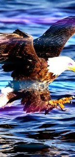 Eagle soaring over blue water with wings extended.