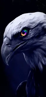 Closeup of an eagle with a colorful eye on a dark background.