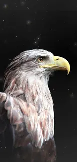 Majestic eagle with sharp gaze on black background.