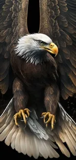 Majestic eagle with outspread wings on dark background.