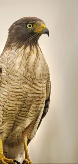 Majestic eagle in close-up view against a soft, beige background for mobile wallpaper.