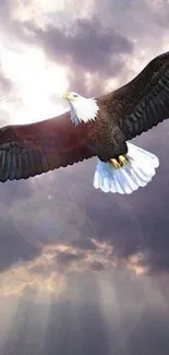 Majestic eagle soaring through cloudy sky with sun rays.