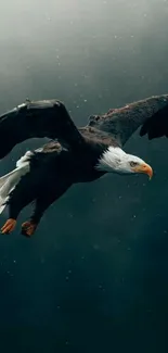 Majestic eagle soaring in dark moody sky.