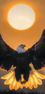 Majestic eagle soaring with glowing sunset backdrop.