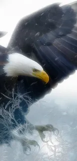 Majestic bald eagle in flight against a white sky, showcasing elegance and power.