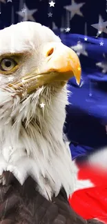 Bald eagle with American flag backdrop.