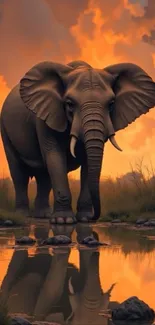 Majestic elephant walking at sunset by water.