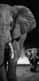 Black and white wallpaper of two majestic elephants on the savannah.