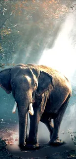 Elephant walking through a sunlit forest scene.