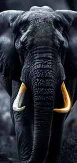 Majestic elephant with tusks in dark forest.