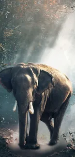 Elephant walks through sunlit misty forest, surrounded by trees.