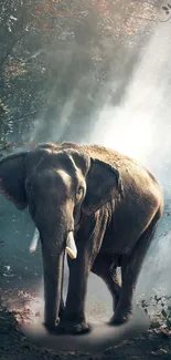 Majestic elephant walking through a sunlit forest, surrounded by nature's beauty.