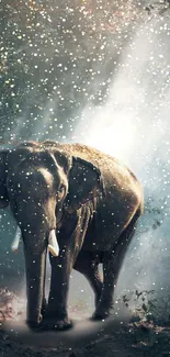 Elephant in a magical forest light with sparkles, creating a serene wallpaper.