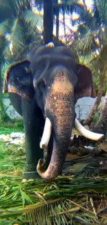 Majestic elephant in lush green jungle with palm trees.