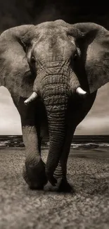 Majestic elephant walks along a tranquil beach with a serene backdrop.