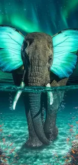 Elephant with butterfly wings underwater, aurora borealis sky.