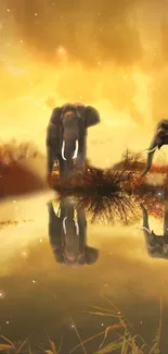 Elephants reflected in a golden sunset scene with serene water.