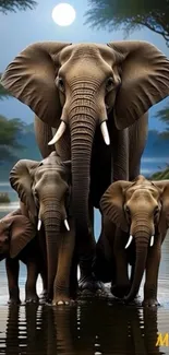 Elephant family in a serene landscape under the moonlight.