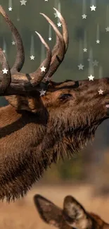 Majestic elk standing in a field with antlers, surrounded by natural beauty.