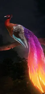 Majestic firebird with vibrant tail glowing in a dark forest setting.