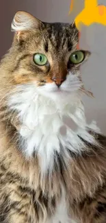 Close-up of a majestic cat with green eyes and fluffy brown fur.