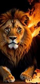 Majestic lion with fiery mane in art wallpaper.