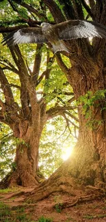 Beautiful forest with large trees and a bird flying overhead, bathed in sunlight.