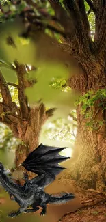 Black dragon in ancient forest wallpaper scene.