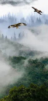 Eagles soaring above misty forest scenery, lush green landscape.