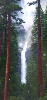 Majestic waterfall amidst tall pine trees in a lush green forest.