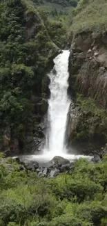 Serene waterfall cascading in lush green forest wallpaper.