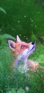 Majestic fox nestled in vibrant green foliage.