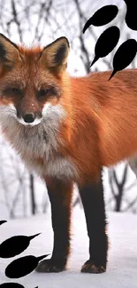 Red fox standing gracefully in snowy winter forest.