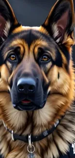 German Shepherd dog portrait with detailed expression.