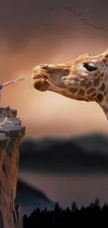 Child feeding giraffe in sunset scenery wallpaper.